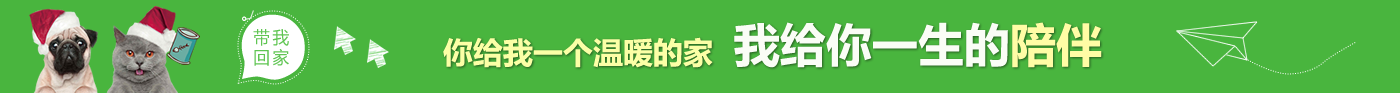 狗狗召唤求带回家