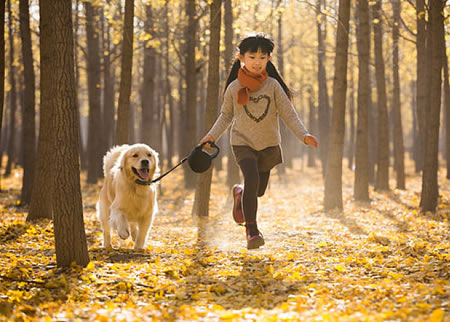 汪界“暖男”金毛犬最害怕哪些东西